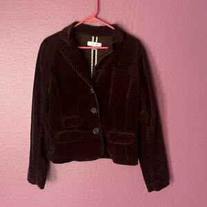 Paul & Joe Brown and Chocolate-corduroy Size X-Large